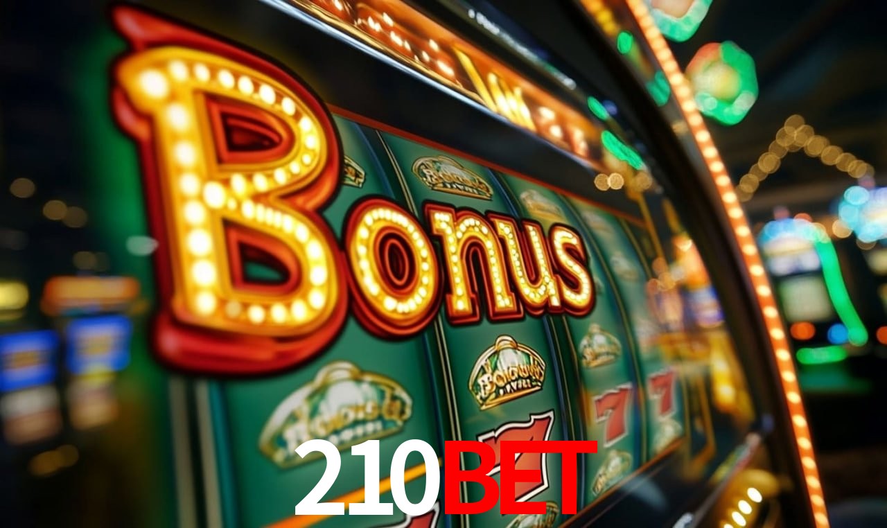 210bet Salvador - Promo Stats