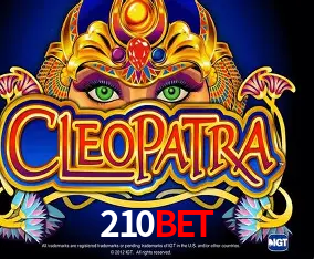 210bet Curitiba - Live Status